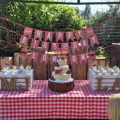 a red and white checkered table cloth with cake on it