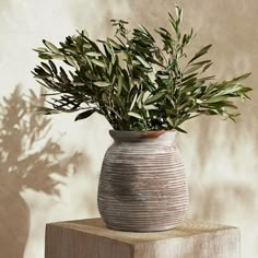 a potted plant sitting on top of a wooden block