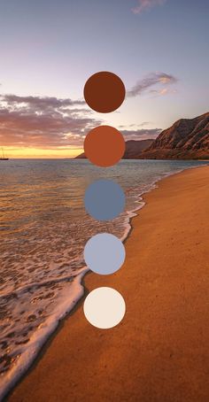 an image of a beach with circles on the sand and water in the foreground