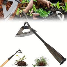 the garden tools are being used to grow lettuce and other plants in pots