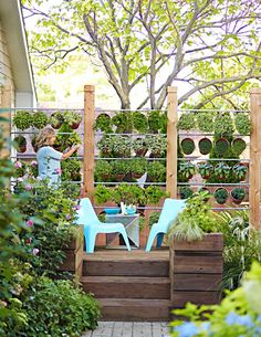 an outdoor patio with blue chairs and potted plants