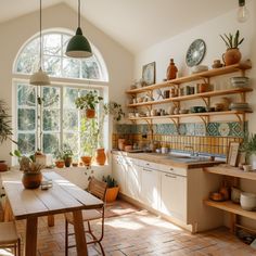 a kitchen filled with lots of potted plants next to a large window covered in sunlight