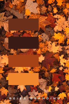 an image of autumn leaves with the words beer branding on it in brown and orange