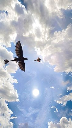 two birds flying in the sky on a sunny day with clouds and sun behind them