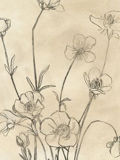 an ink drawing of some flowers on a piece of paper