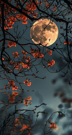 the full moon is shining brightly in the sky above some branches with red flowers on it