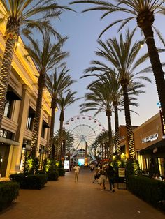 palm trees line the street in front of shops and ferris wheel at dusk, with people walking by