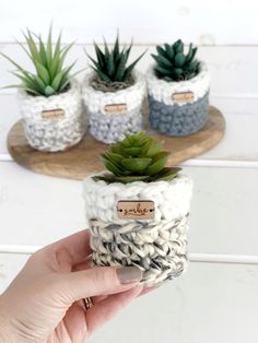 a hand holding a small crochet pot with succulents in it