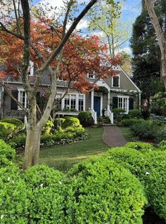 a house surrounded by trees and bushes in the front yard with lots of greenery