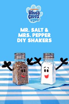 two salt and pepper shakers on a blue and white checkered table cloth with the words mr salt and pepper diy shakers