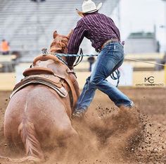 a man riding on the back of a brown horse in a dirt field at a rodeo