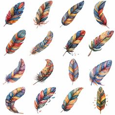 many different colored feathers are shown in this image, including one that has been painted with watercolors