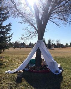 a tent set up under a tree in a field with the sun shining on it