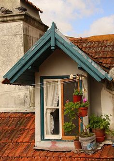 an image of a small house with potted plants in the window sill and on the roof