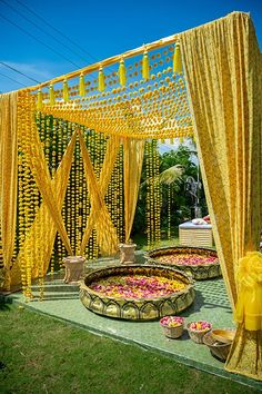 an outdoor wedding setup with yellow drapes and flower petals on the ground, surrounded by greenery