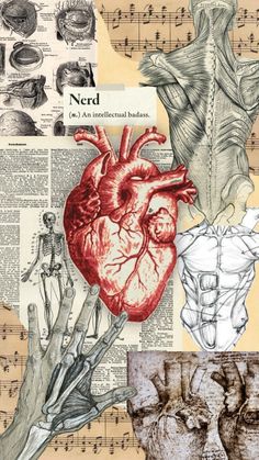 an altered collage of human anatomy and music sheet with handwritten notes on it