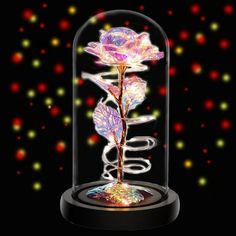 a pink rose in a glass dome on a black background with multi - colored lights