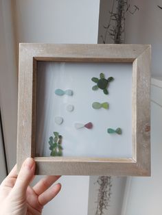 a person holding up a frame with some sea glass in it and plants on the wall