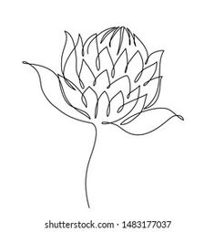 a drawing of a flower on a white background