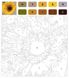 a sunflower coloring page with numbers and colors