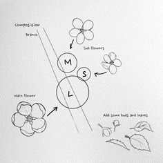 the diagram shows how to draw flowers