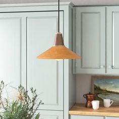 a kitchen with green cabinets and a potted plant on the counter next to it