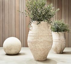 three vases with plants in them sitting on a table