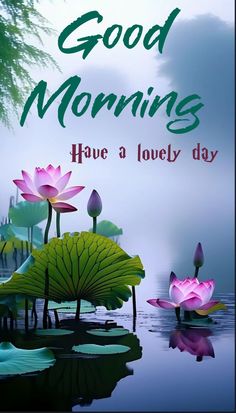 a card with water lilies and the words good morning have a lovely day on it