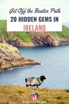 a sheep standing on top of a lush green hillside next to the ocean with text overlay reading get off the beaten path 20 hidden gems in ireland