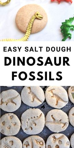 salt dough dinosaur fossils are an easy science project for kids to learn how to make them