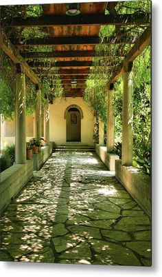 the walkway is lined with potted plants and trees