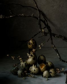 an arrangement of quails and branches in front of a dark background