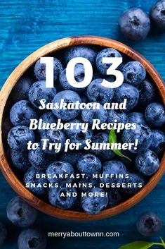 blueberries in a wooden bowl with text overlay that reads 103 saskatoon and blueberry recipes to try for summer