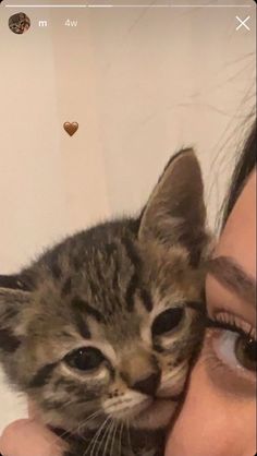 a woman holding a kitten up to her face with the caption, i love my cat