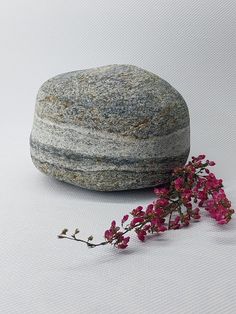 a rock sitting on top of a white surface next to pink flowers