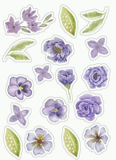 some purple flowers and green leaves are on a white background with the words, stickers