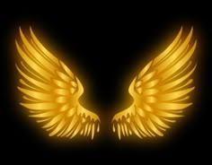 two golden wings on a black background