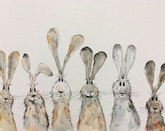 four rabbits are lined up in the same row