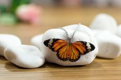 Main colour(s): orange Size (butterfly): 6 cm x 2.5 cm Made from: Resin; Steel chain Packaging: Acdria jewellery box. See details about packaging and the free gift message service further in the listing. The jewellery we create is inspired by nature in all its beauty. We've started in 2012 by designing the Tiger butterfly. That first design was an instant success. When we saw how loved our jewellery is and the amazing feedback we've received, we've continued to develop new designs, using new tec Tiger Butterfly, Tiger Orange, Jewelry Hanger, Orange Butterfly, Clay Ideas, Lovely Necklace, The Tiger, Butterfly Necklace, Trinket Dish