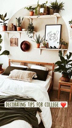 a bedroom with plants on the shelves above the bed