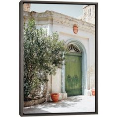 an old building with a green door and potted plants