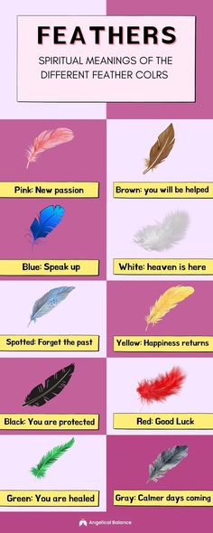 What is the spiritual feather meaning mixed color chart. The 11 colors with meanings and symbolisms for your life. Light Brown Feather Meaning, Feather Color Meaning Spiritual, Blue Feather Meaning, Rainbow Meaning Spiritual, Brown Feather Meaning, Feather Spiritual Meaning, Grey Feather Meaning, Black Feather Meaning, White Feather Meaning