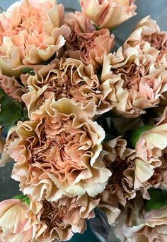 a vase filled with lots of pink flowers