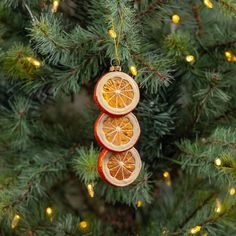 two orange slices hanging from a christmas tree