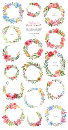 watercolor flowers and leaves are arranged in the shape of wreaths