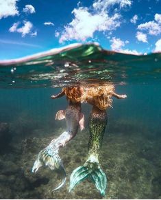 two mermaids are swimming in the ocean with their tails spread out and there is no image here to provide a caption for