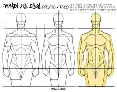 an image of a man's torso and back with the text in korean on it