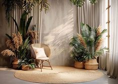 a living room with plants and chairs in it