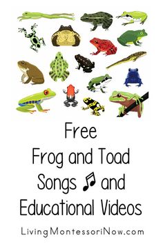 frog and toad songs and educational videos for kids to learn with their own hands - free from montessori now