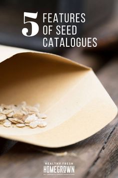 the top five features of seed catalogues for homegrown, including oats